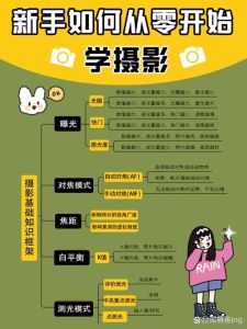 摄影基础知识电子书_掌握曝光对焦构图光线基础