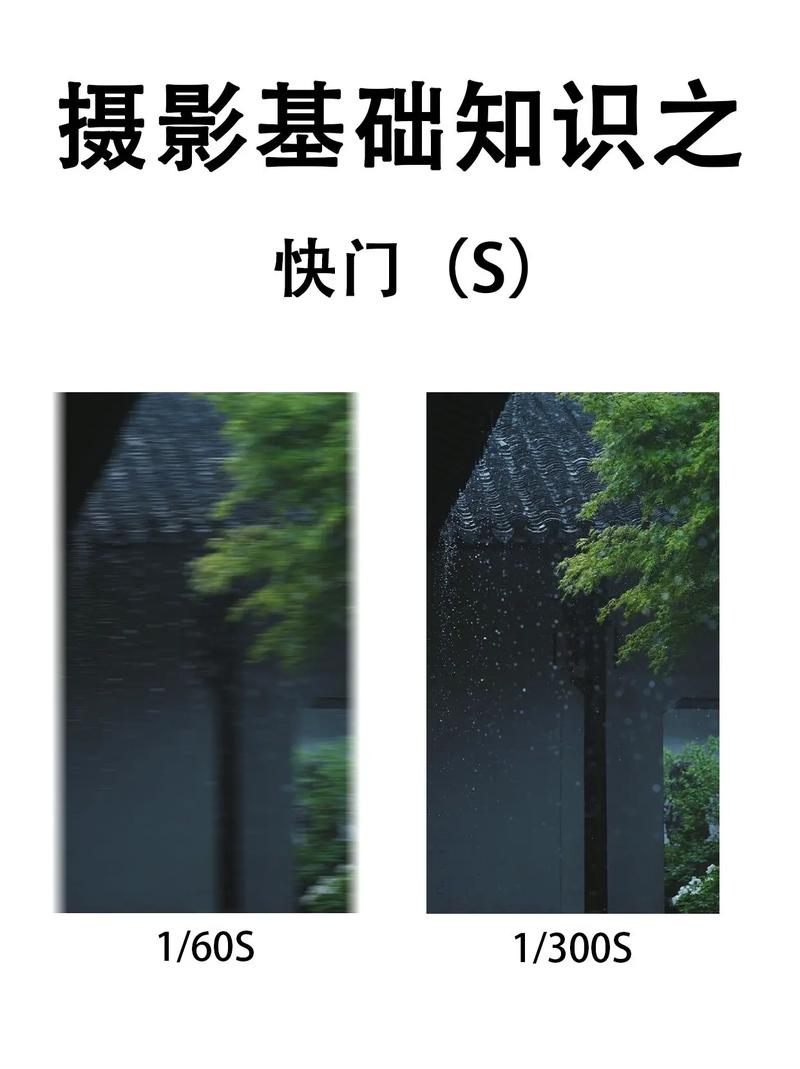 提高曝光是怎么样的_小企业精准曝光策略，提升品牌影响力