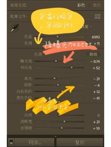 照片曝光过度怎么处理_压暗曝光与蒙版局部调整技巧