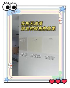 烙色雪绒象牙白和双奶皮自然白哪个更白_粉底象牙白vs自然白，选对显白！
