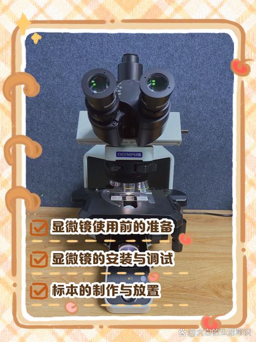 手动给显微镜照片加标尺的方法_偏光荧光镜图像标尺添加方法