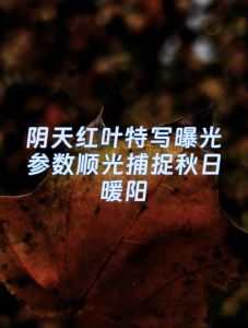阴天拍照的调参数方法_阴天摄影调参数，出片有氛围