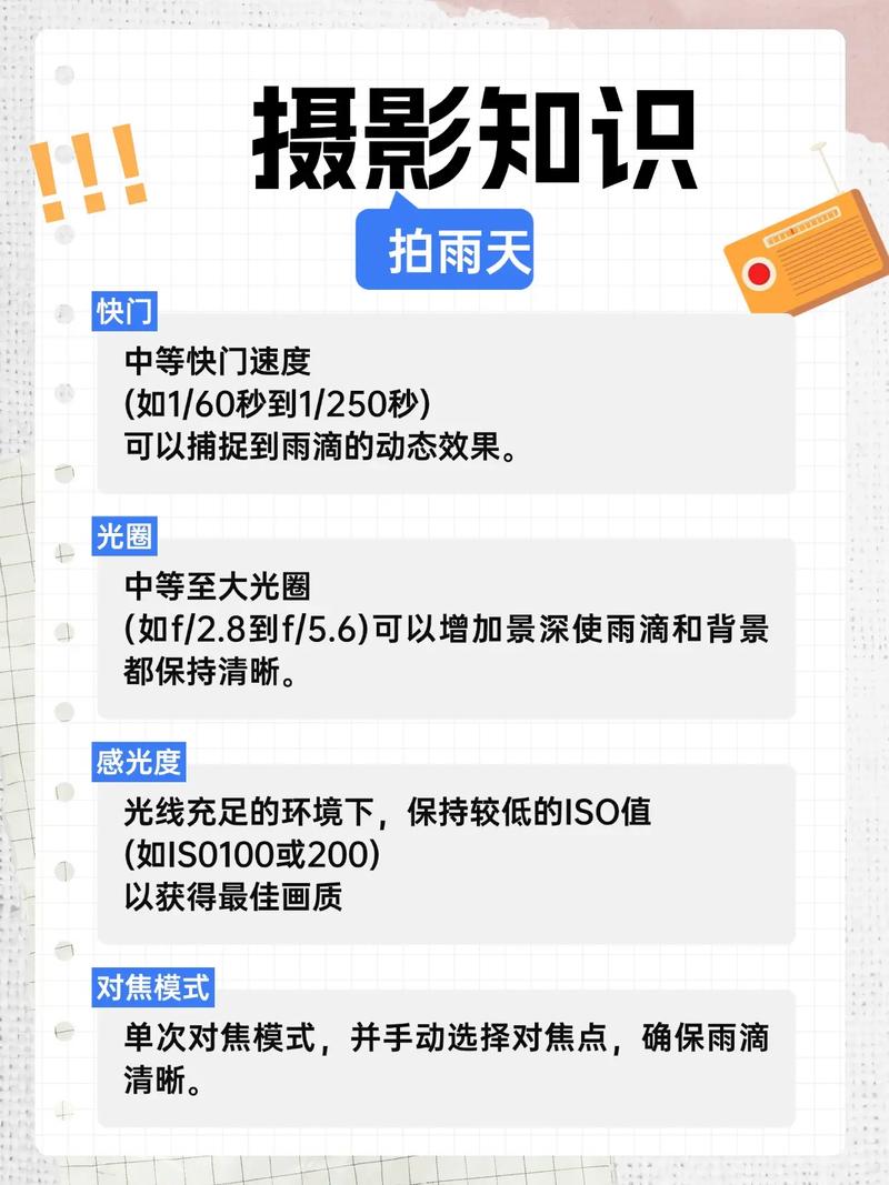 阴雨天拍照参数_补光调色显主体