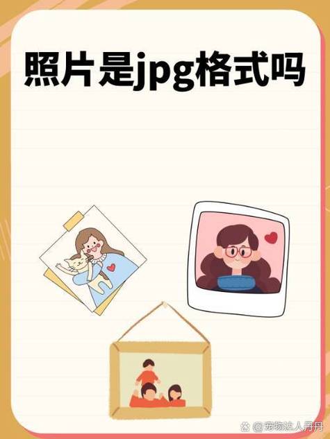 图片照片格式_照片分享用JPEG，Logo透明用PNG，动图用GIF，WebP更全面！