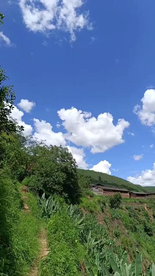 真实生活风景照片_捕捉生活之美，发现平凡诗意