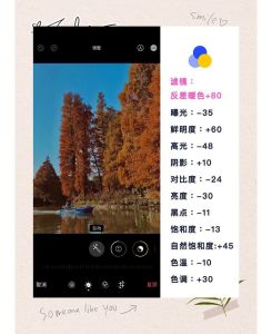 照片调色的技巧和方法_赋予照片生命与情感，营造氛围，掌握技巧创作独特作品