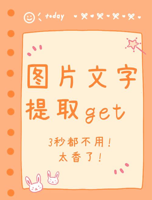 图片文字提取器，免费在线识别，支持离线使用