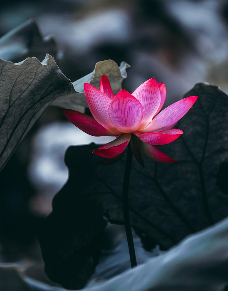 有后期创意的摄影图_摄影构图创意，点线面演绎非凡意境