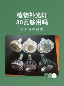 30瓦和60瓦补光灯区别_300W补光灯更亮，专业摄影优选
