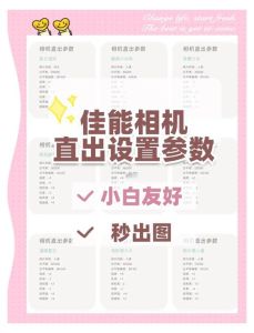 拍人像的相机参数_拍夜景人像，闪光灯加慢门，人景分明