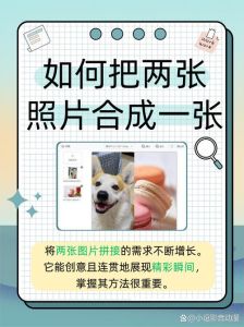 如何p图p到另一张照片_巧用工具，玩转图层