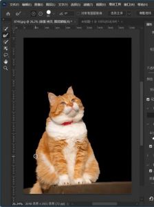 ps如何抠图_Photoshop智能选区与工具实测