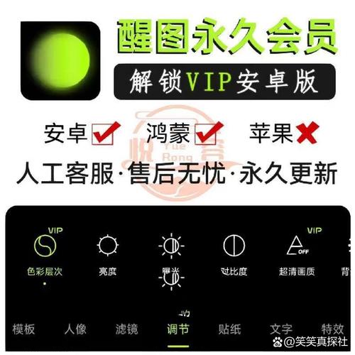 醒图修图要有vip吗_醒图修图需VIP吗？免费版国际版选哪个？