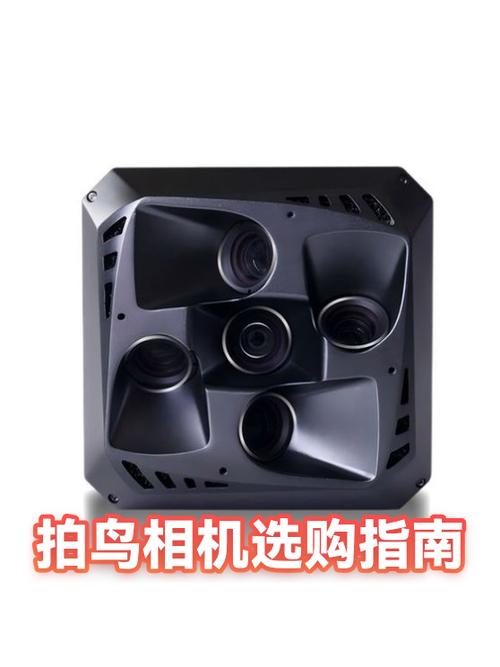 用单反拍鸟调什么参数_AI伺服AF+拇指AF捕捉飞行鸟