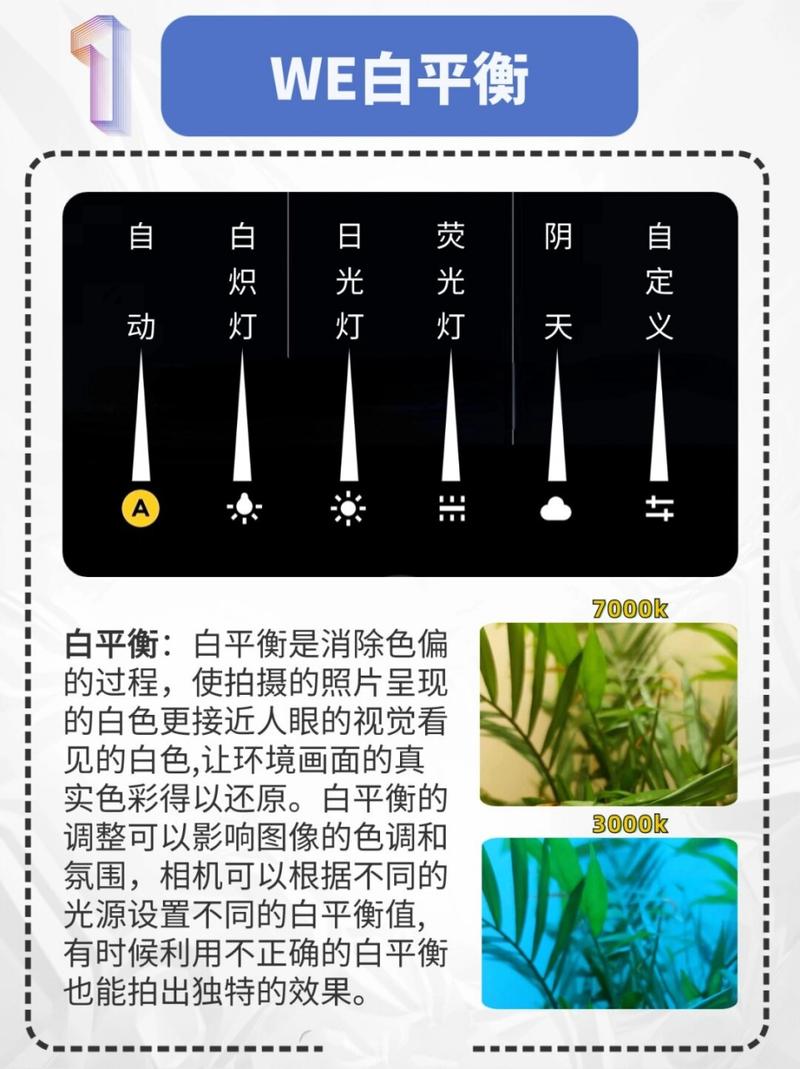 wb摄影参数代表什么_调色关键，还原真实色彩