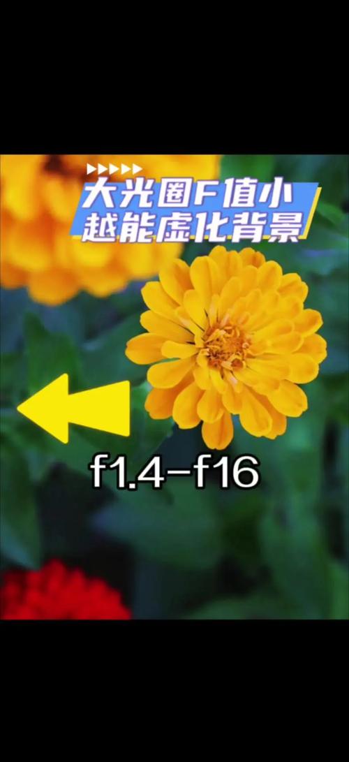拍照如何将背景虚化_大光圈虚化背景，突出主体