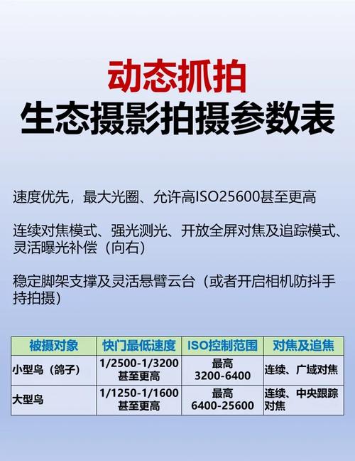 照片拍摄参数_中秋国庆抓拍人像，轻松出片！