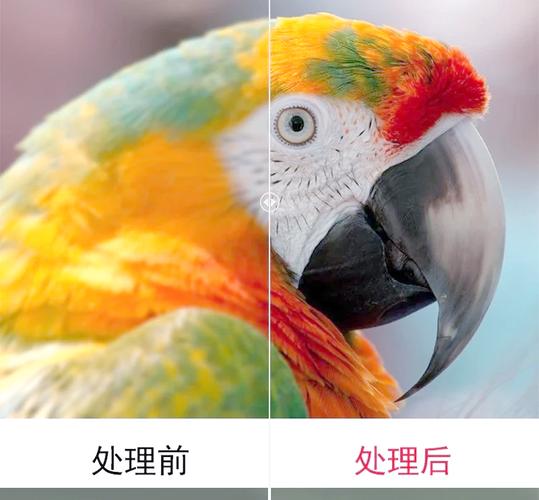 图片模糊变清晰_智能修旧照，模糊破损变清晰