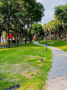 湖边公园拍照_湖畔春光美，拍照正当时！