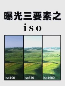 拍照参数中的ev和iso_EV曝光控制，ISO调整感光度，曝光补偿手动调，灵活运用拍出好片