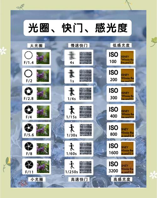 摄影构图三要素_摄影曝光对焦构图技巧 摄影构图三要素_摄影曝光对焦构图技巧
