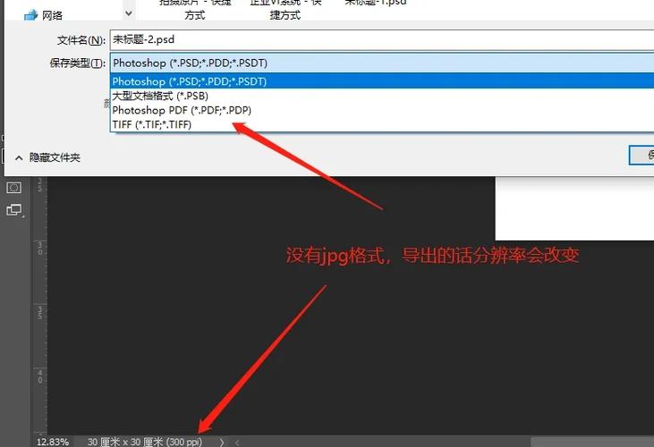 ps照片导出什么格式清晰度最高_PNGTIFF无损画质，选对格式才清晰！