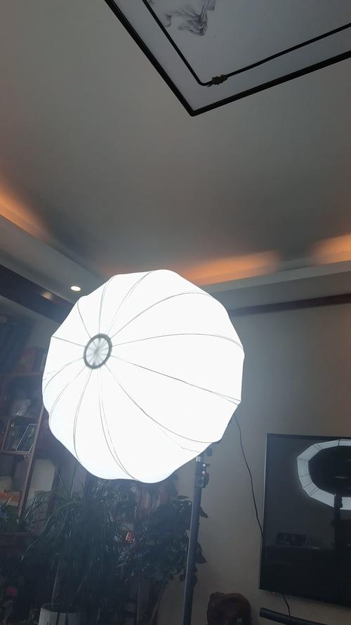 大型摄影棚200cm拍照补光灯_不同场景补光灯推荐