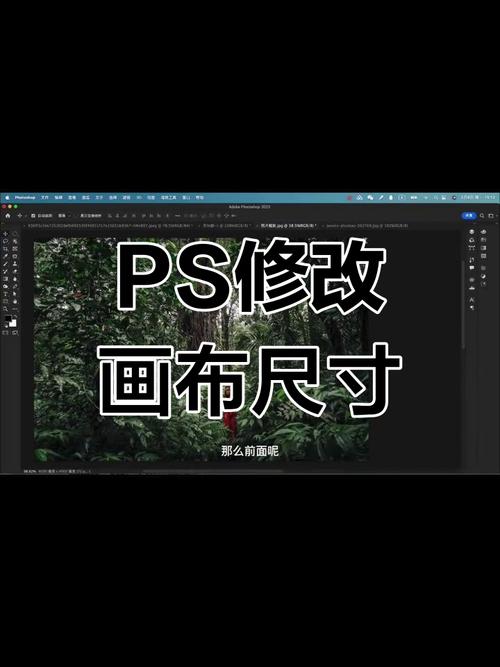 ps怎么设置参照图_Photoshop用参照图，编辑绘画更方便