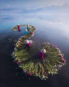 曲线构图的摄影图片_曲线构图，让照片更有灵魂