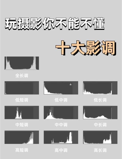摄影后期影调与调色实战宝典_摄影后期光影色彩宝典，调色塑魂，实战技巧