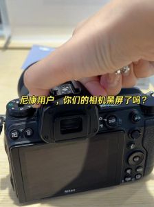相机连接电脑拍照自动黑屏_相机屏幕黑屏？清洁电池或重设试试！