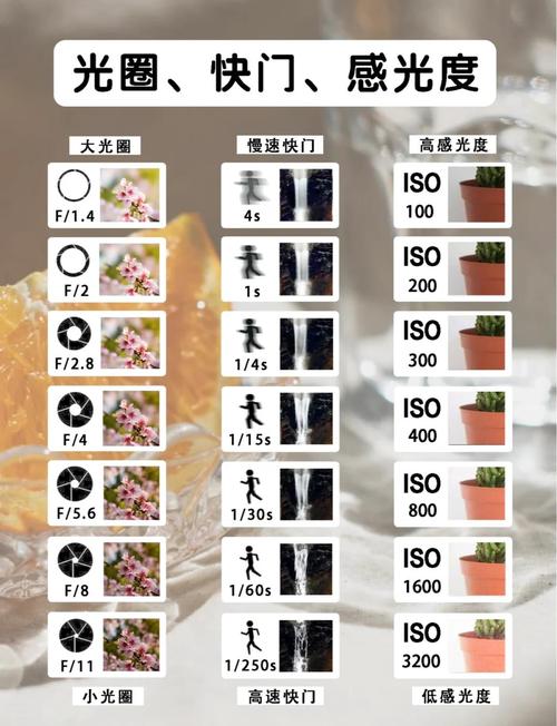 拍10人合照光圈参数调多少_集体照人人清晰，小光圈快门速度是关键