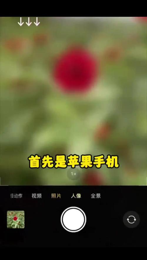 单反拍照怎么虚化背景_光圈越大背景虚化越明显