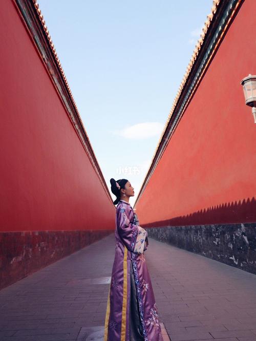 故宫穿什么衣服拍照好看_红墙配汉服，栏杆构图美
