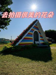 拍花朵的景色需要设置什么参数_光圈虚化+构图突出，花朵瞬间生动