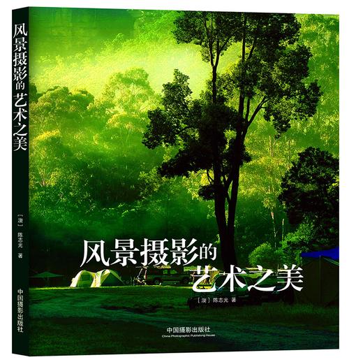 摄影构图封面的图片_简洁线条色彩构图，吸引眼球显创意
