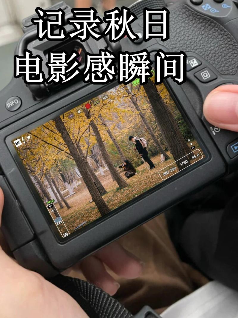 电影院相机拍照参数_电影院拍人像用M档大光圈长焦