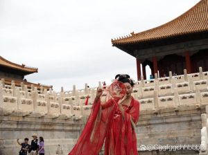 故宫穿什么衣服拍照好看_红墙配汉服，栏杆构图美
