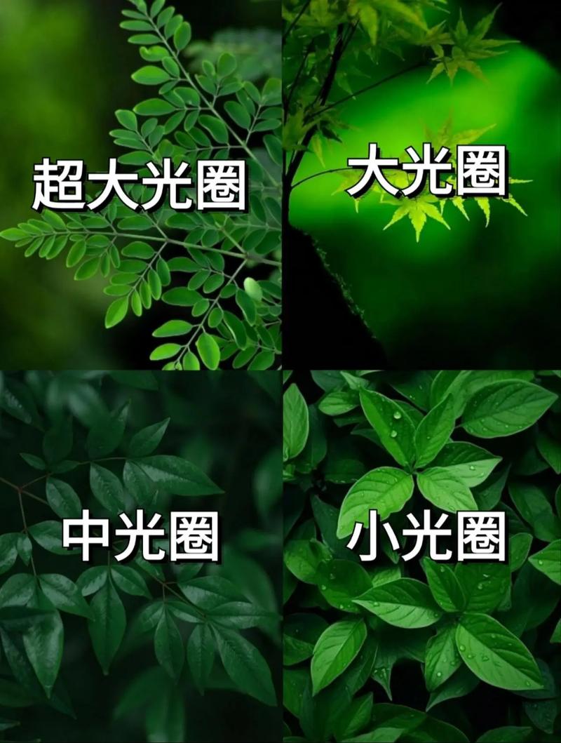 拍10人合照光圈参数调多少_集体照人人清晰，小光圈快门速度是关键