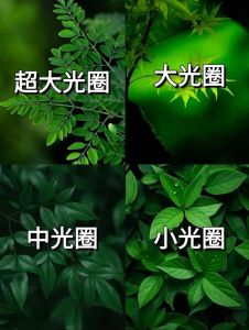 拍10人合照光圈参数调多少_集体照人人清晰，小光圈快门速度是关键