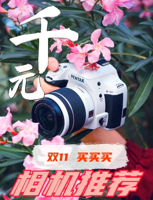 人像摄影单反相机推荐_尼康Z6III佳能800D索尼ZV-E10K富士X-T50松下GH6
