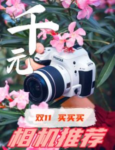 人像摄影单反相机推荐_尼康Z6III佳能800D索尼ZV-E10K富士X-T50松下GH6