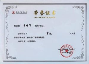 摄影师资格证_从入门到专家，助你职场升级！